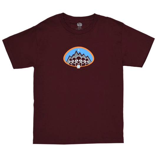Ice Age Tee [Maroon]