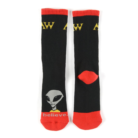 Visitor Socks