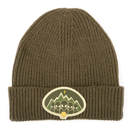 90's Ice Age Beanie [Green]
