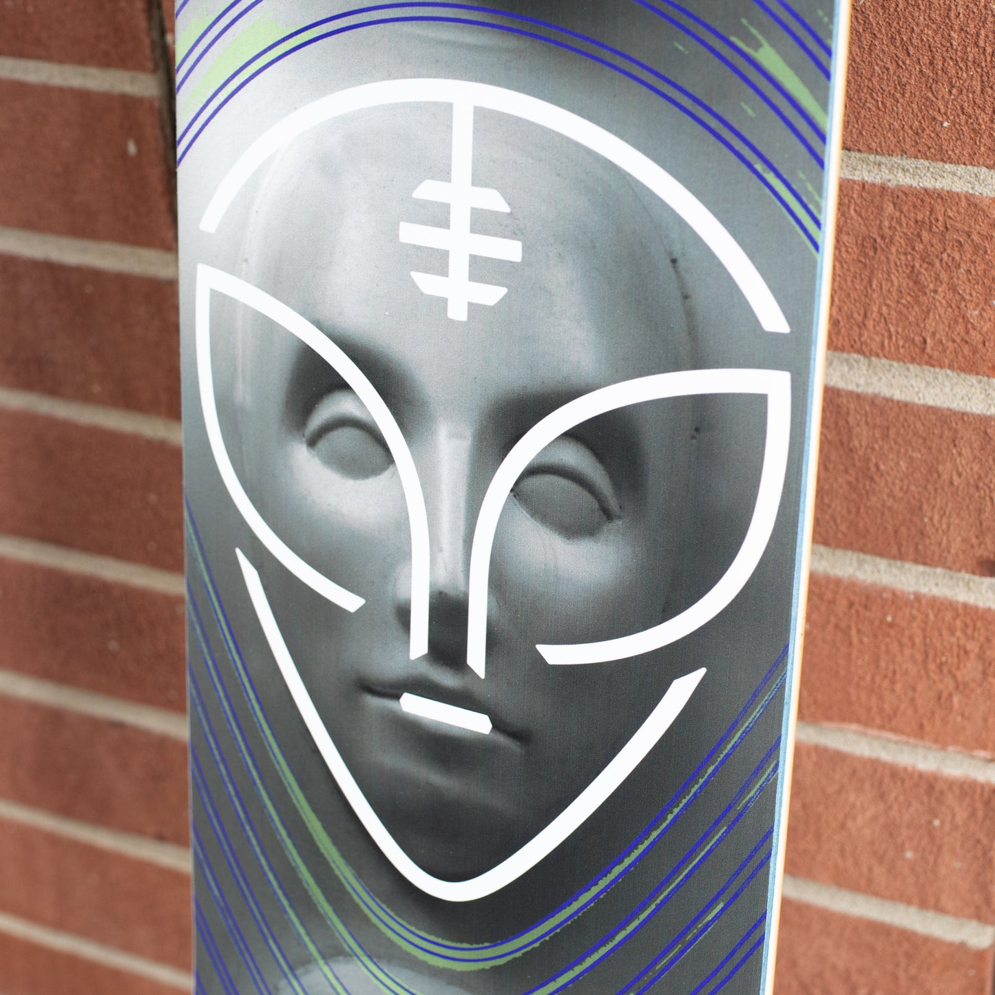 O'Brien 'Watcher' [8.25"]