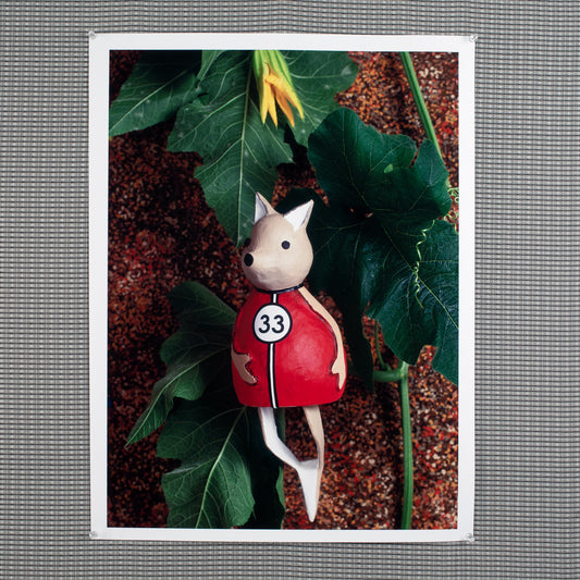 Fox Racer Print