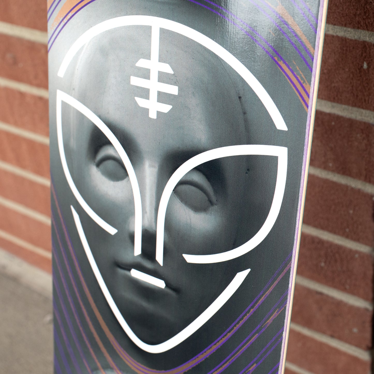 O'Brien 'Watcher' [8.25"]