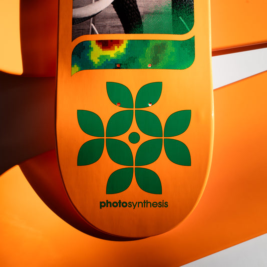 Photosynthesis [8.5"]