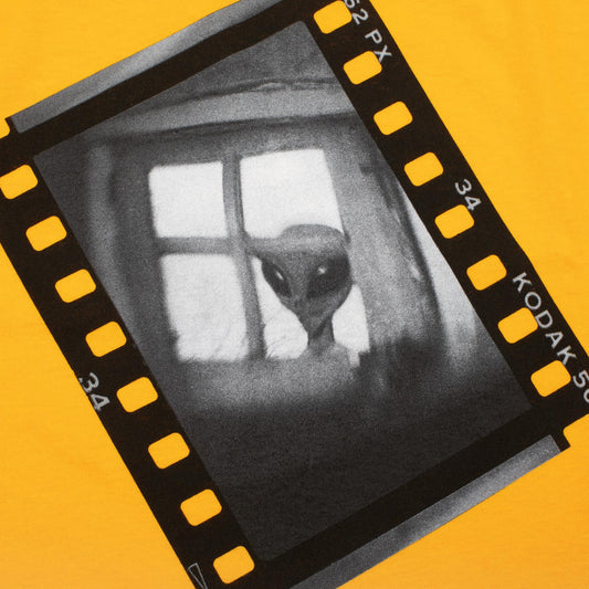 Visitor Evidence L/S T-Shirt Gold